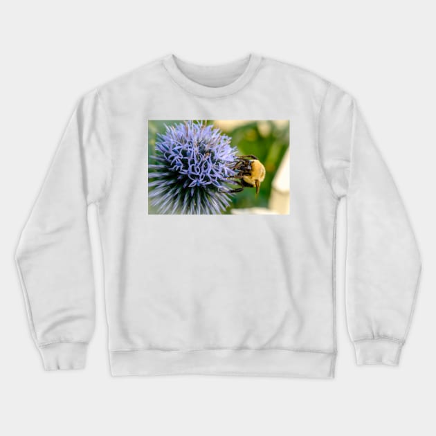 Small Globe Thistle With Bee 10 Crewneck Sweatshirt by Robert Alsop